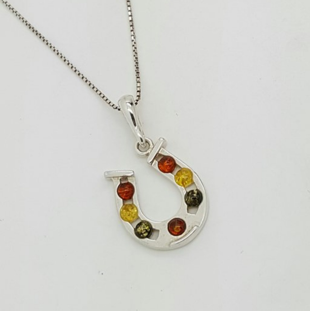 Multi-colored Amber Horse Shoe Pendant with Chain